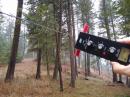 Testing/tuning the elevated radials